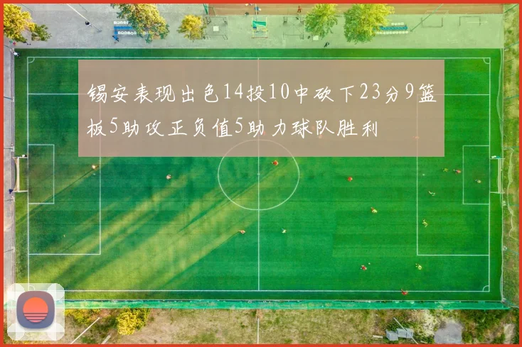 锡安表现出色14投10中砍下23分9篮板5助攻正负值5助力球队胜利