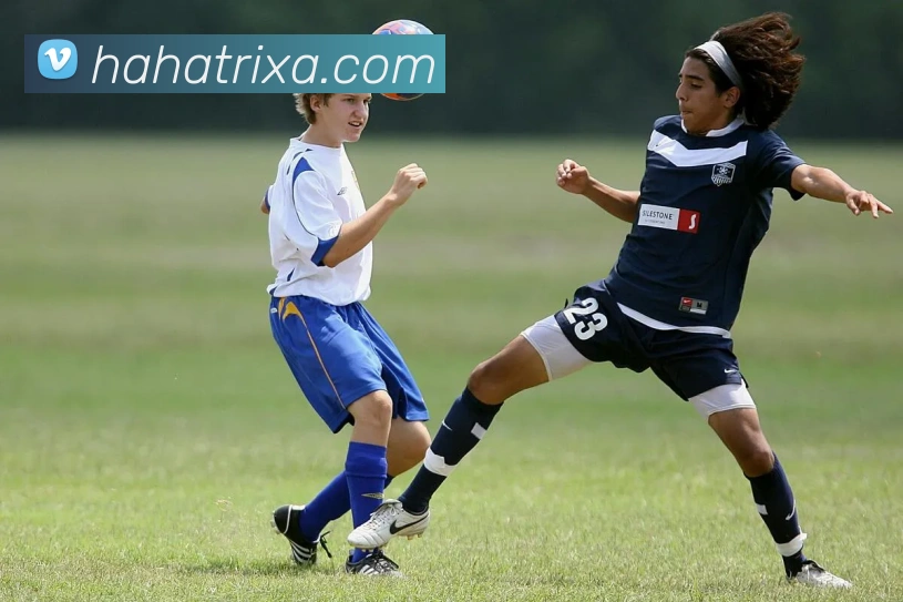 多媒体互动体验